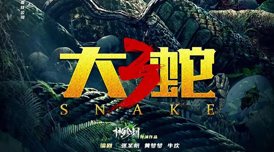 《大蛇3:龙蛇之战》
